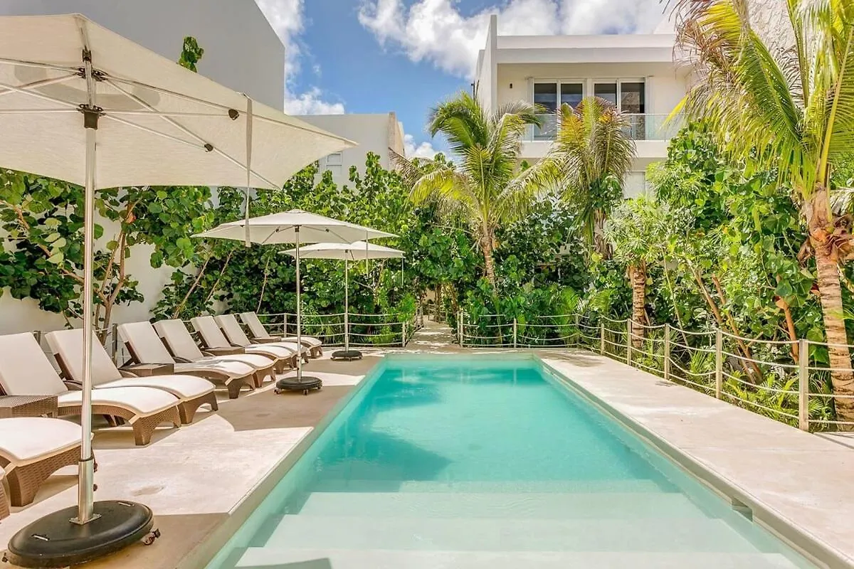 Chic Beachfront Condo Ocean View Rooftop Pools Akumal