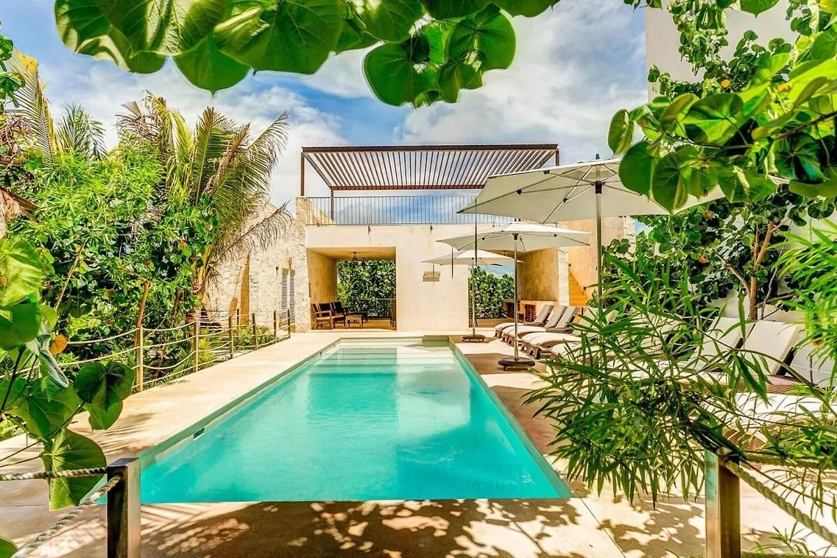 Chic Beachfront Condo Ocean View Rooftop Pools Akumal Mexiko